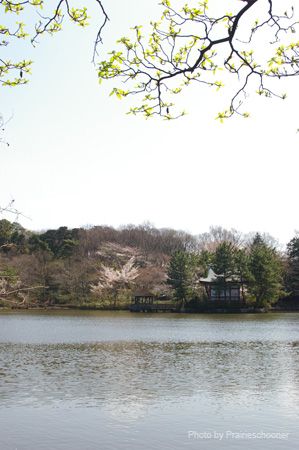 IMGP0270
