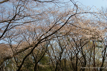 IMGP0273