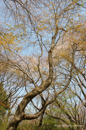IMGP0280