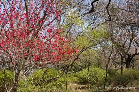 IMGP0281
