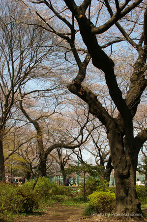 IMGP0286