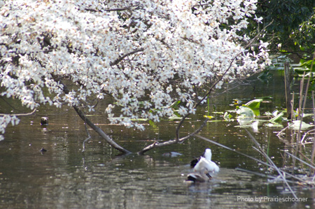 IMGP0289
