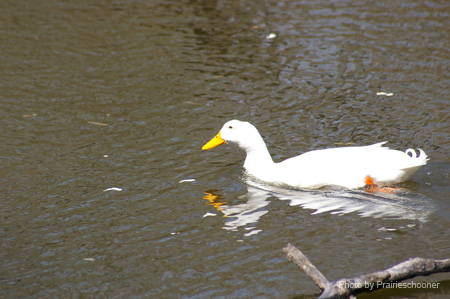 IMGP0291