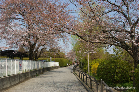 IMGP0293