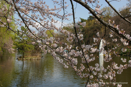 IMGP0298