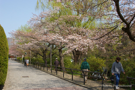 IMGP0299