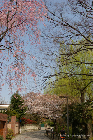 IMGP0301