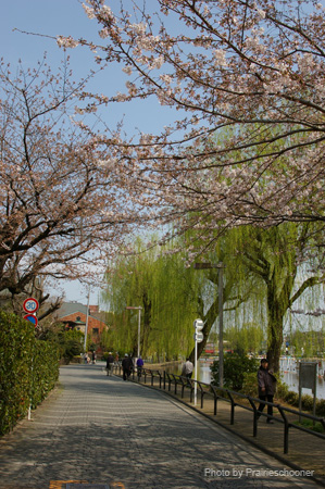 IMGP0302