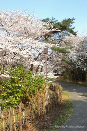IMGP0305