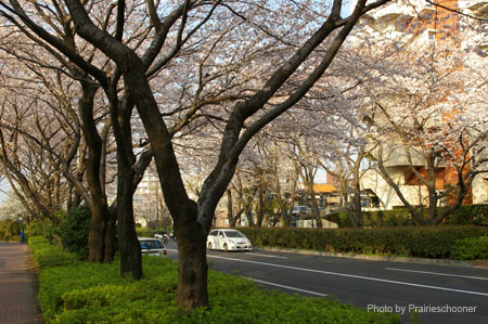 IMGP0316