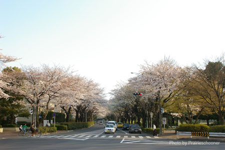 IMGP0317