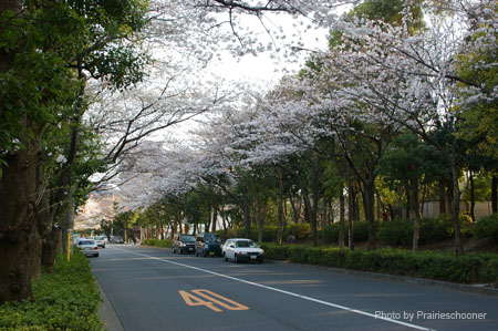 IMGP0318
