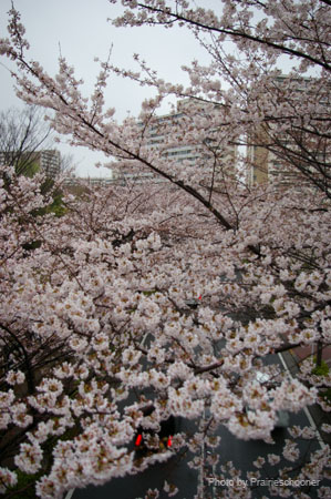 IMGP0349