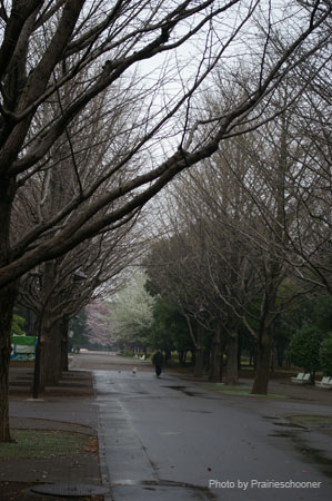 IMGP0351