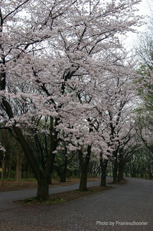 IMGP0357