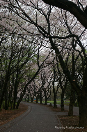 IMGP0361