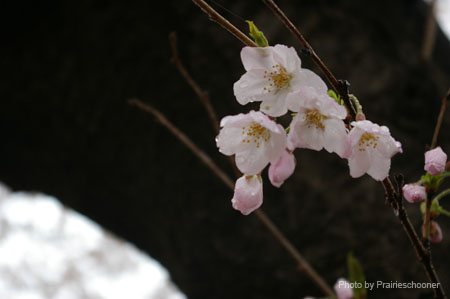 IMGP0376