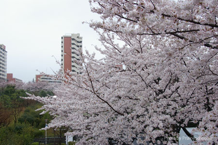 IMGP0378