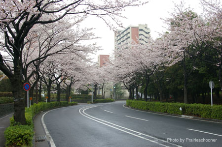 IMGP0382