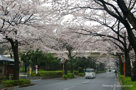 IMGP0389