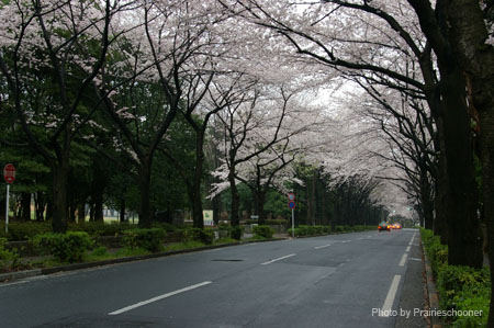 IMGP0390