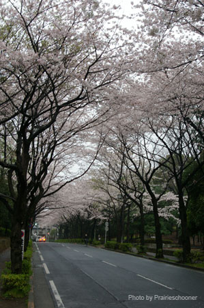 IMGP0394