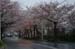 IMGP0336