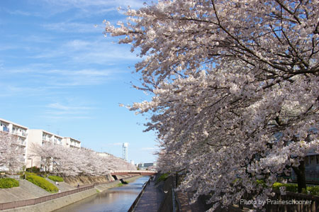 IMGP0396