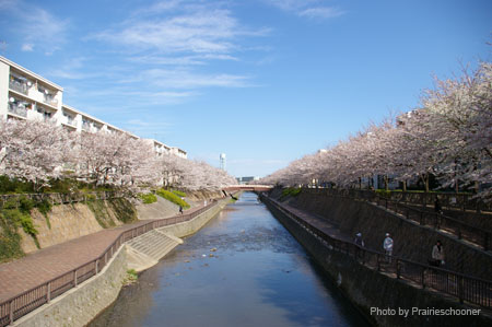 IMGP0398