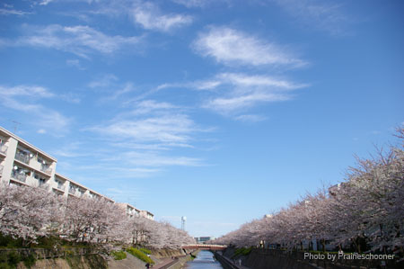IMGP0399