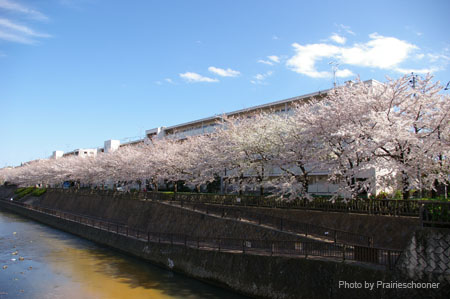 IMGP0402