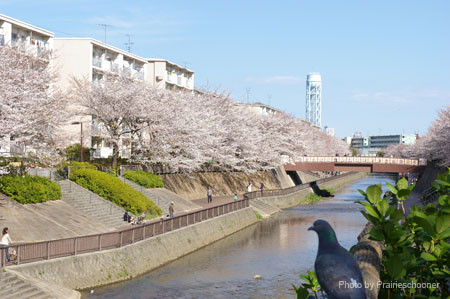 IMGP0403