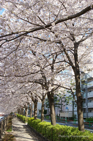 IMGP0408