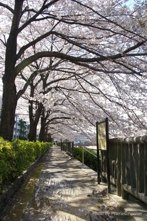 IMGP0409