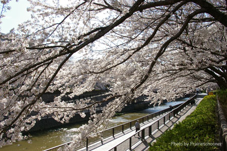 IMGP0421