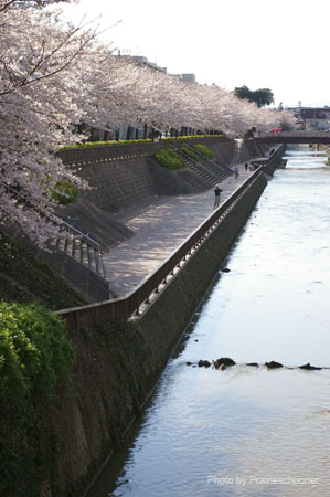 IMGP0425