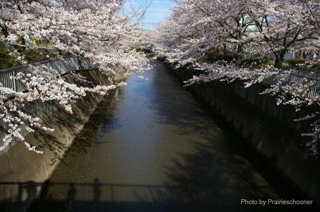IMGP0429
