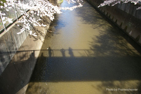 IMGP0438