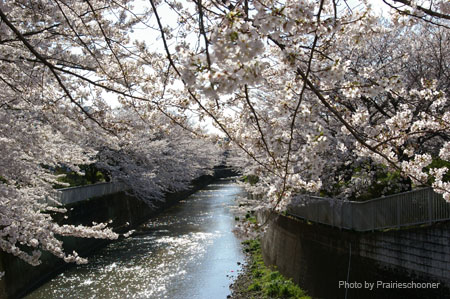 IMGP0439