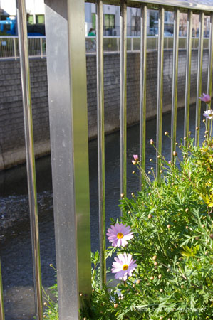 IMGP0442
