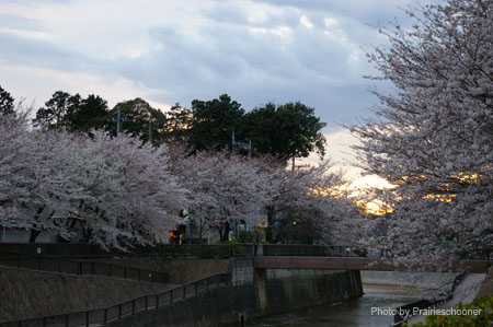 IMGP0447