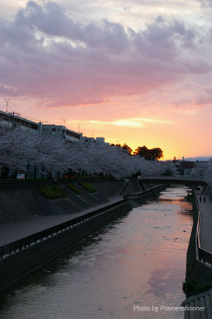 IMGP0451