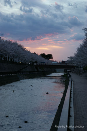 IMGP0453