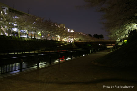 IMGP0468