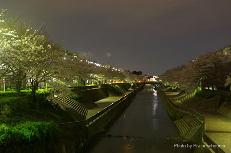 IMGP0476
