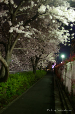 IMGP0484