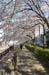 IMGP0405