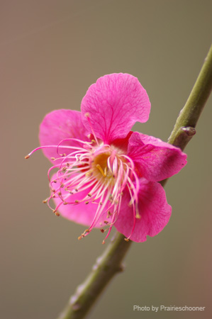 IMGP5621