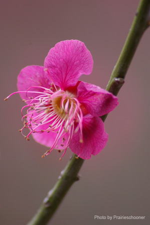 IMGP5624
