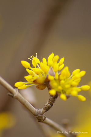 IMGP5684